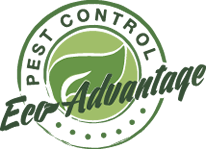 Eco Advantage Pest Control - San Luis Obispo County, Santa Barbara County, Santa Maria, Central Coast, Nipomo, Arroyo Grande, SLO